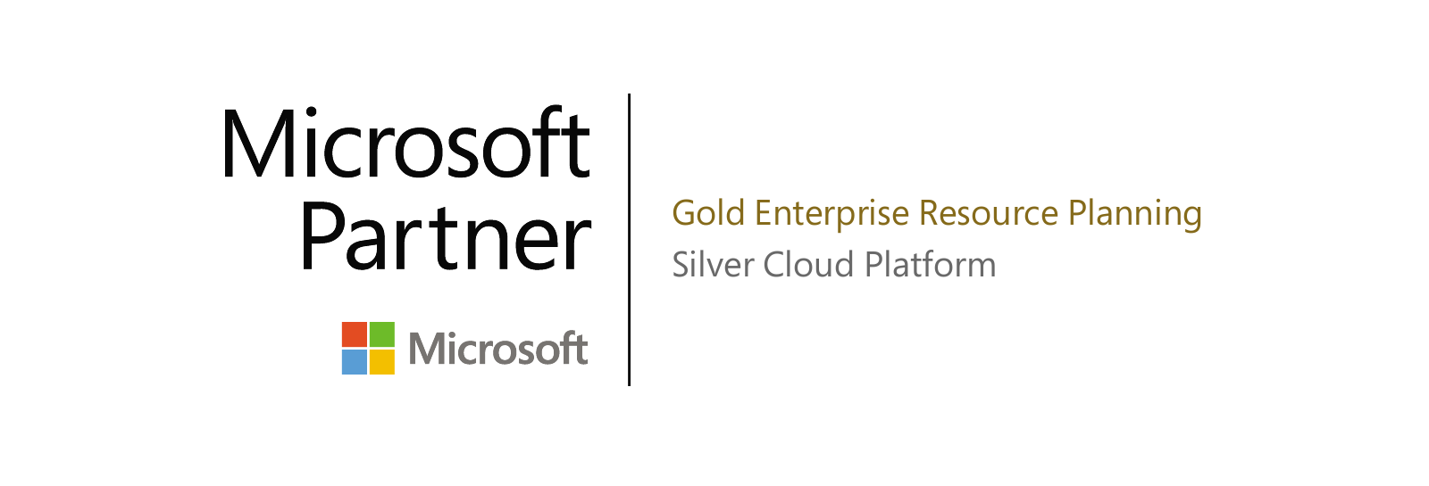 VS Sistemas Silver Partner Cloud Platform de Microsoft
