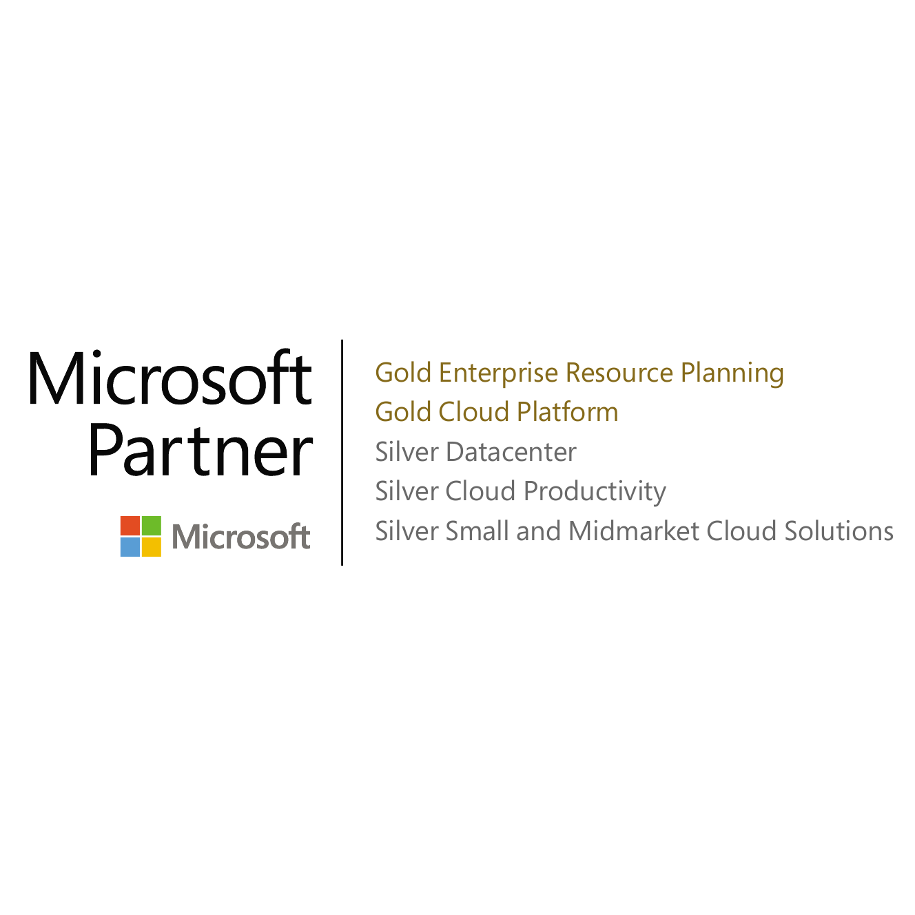 VS Sistemas Gold Partner Cloud Microsoft